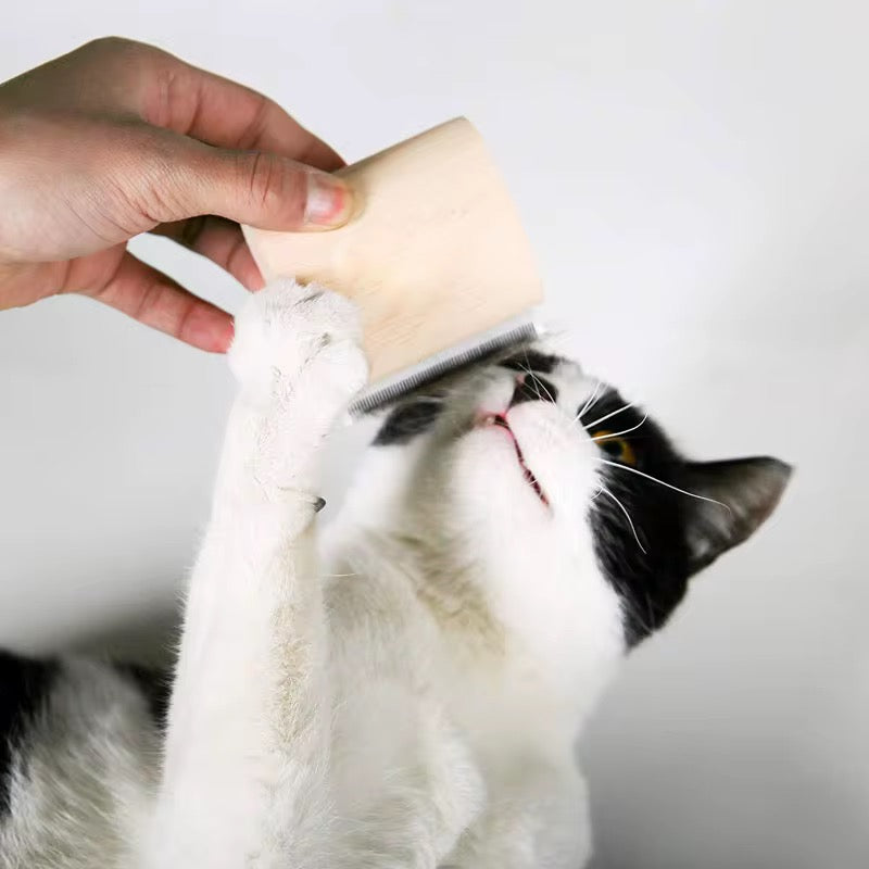 Best Pet Grooming Brush