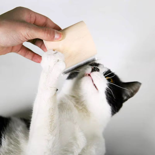 Best Pet Grooming Brush