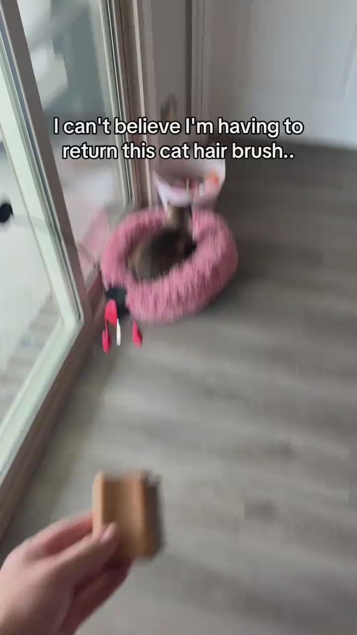 Best Pet Grooming Brush