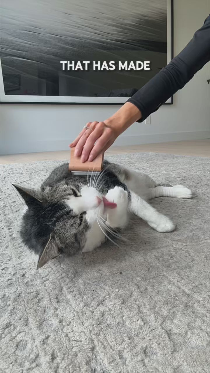 Best Pet Grooming Brush